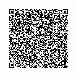 vCard 73533463371