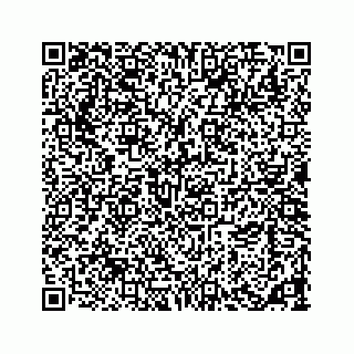 vCard 73533463374