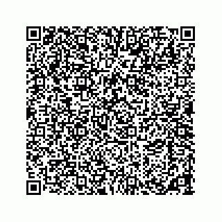 vCard 73533463377