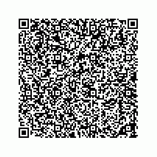 vCard 73533463378