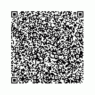 vCard 73533463379