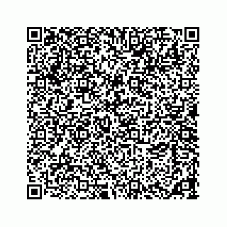 vCard 73533463381