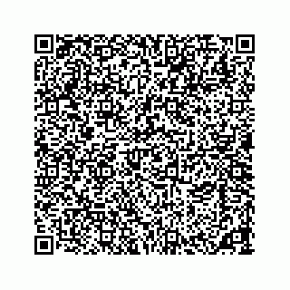 vCard 73533463382