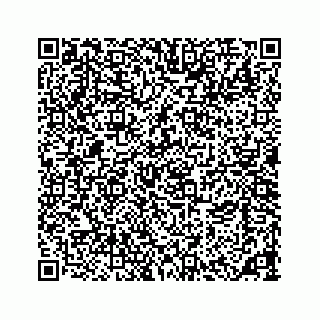 vCard 73533463385