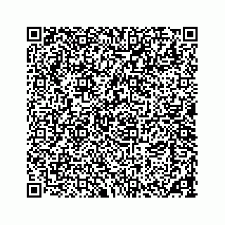 vCard 73533463389