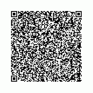 vCard 73533463397