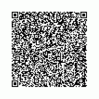 vCard 73533463402
