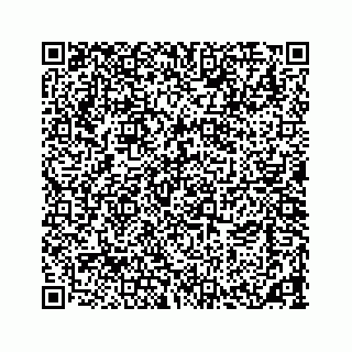 vCard 73533463407