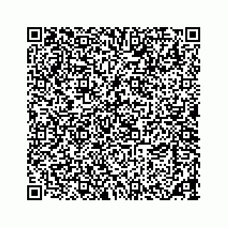 vCard 73533463409