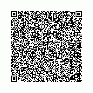 vCard 73533465105