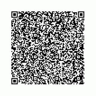 vCard 73533465128