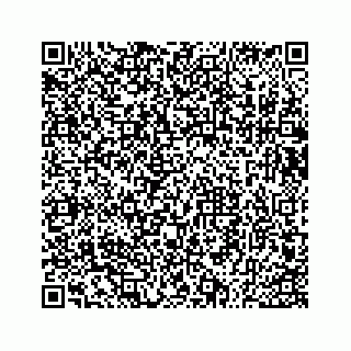 vCard 73533530002