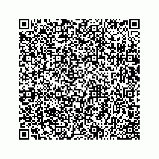 vCard 73533530008