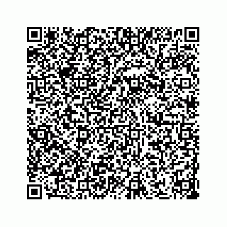 vCard 73533530021