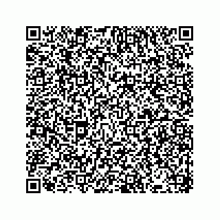 vCard 73533530022