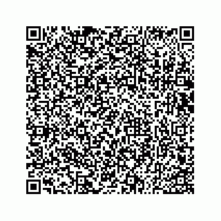 vCard 73533530030