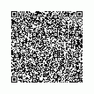 vCard 73533530031