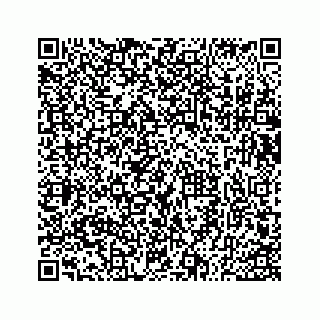 vCard 73533530032
