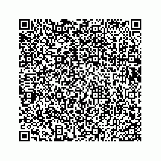 vCard 73533530041