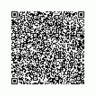 vCard 73533530045