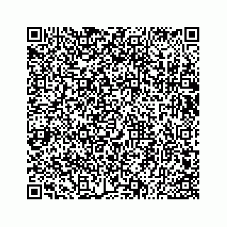 vCard 73533530049