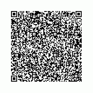 vCard 73533530080
