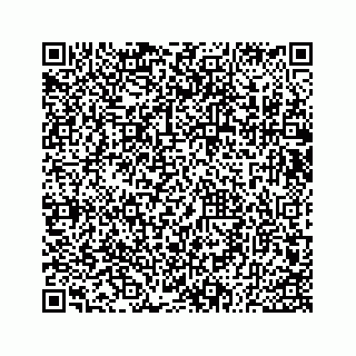 vCard 73533530085