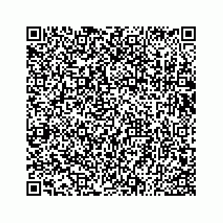 vCard 73533530099