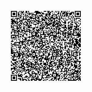 vCard 73533530101