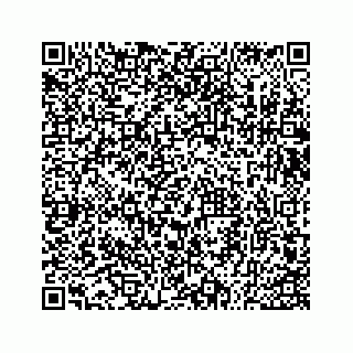 vCard 73533530105