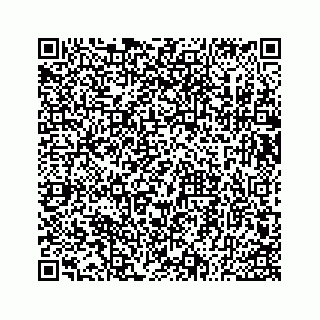 vCard 73533530106
