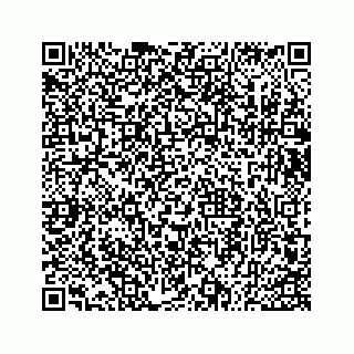vCard 73533530107
