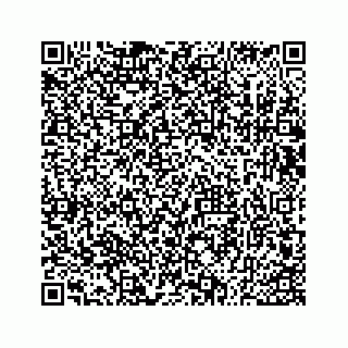 vCard 73533530110