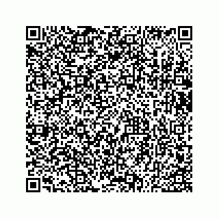 vCard 73533530113