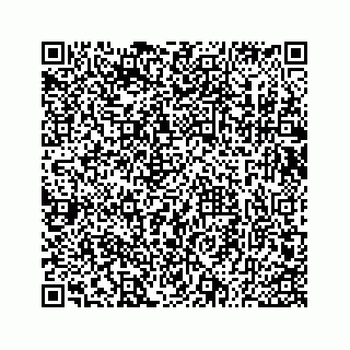 vCard 73533530131