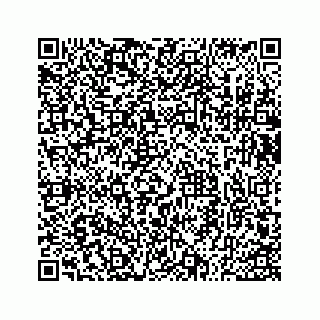 vCard 73533530133