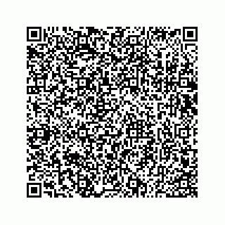 vCard 73533530138