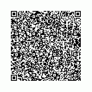 vCard 73533530153