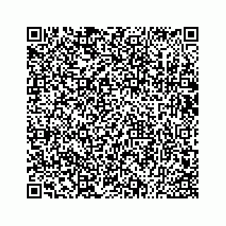 vCard 73533530190
