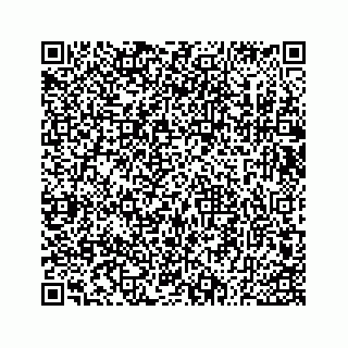 vCard 73533530195