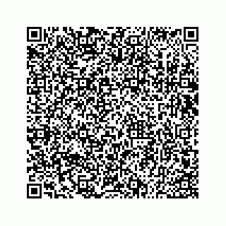vCard 73533530198