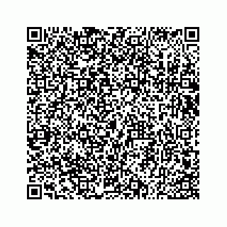vCard 73533530199