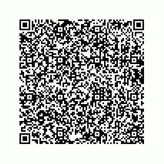 vCard 73533530203