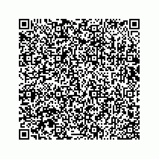 vCard 73533530208