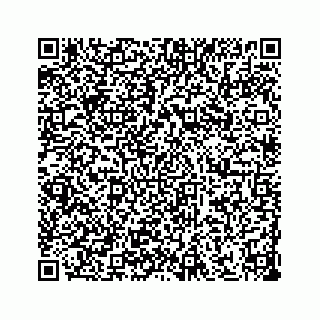 vCard 73533530209