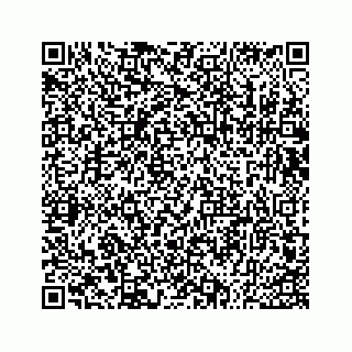 vCard 73533530210