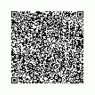 vCard 73533530221