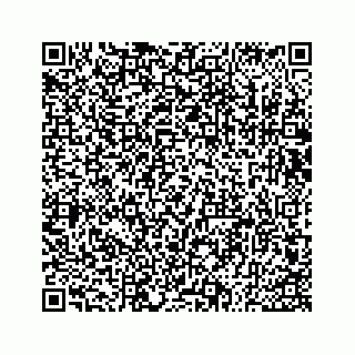 vCard 73533530250