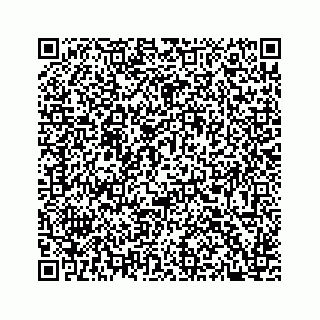 vCard 73533530251