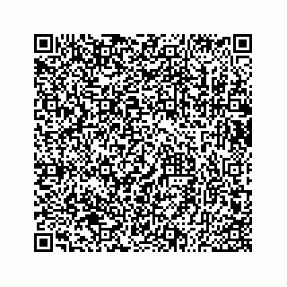vCard 73533530253
